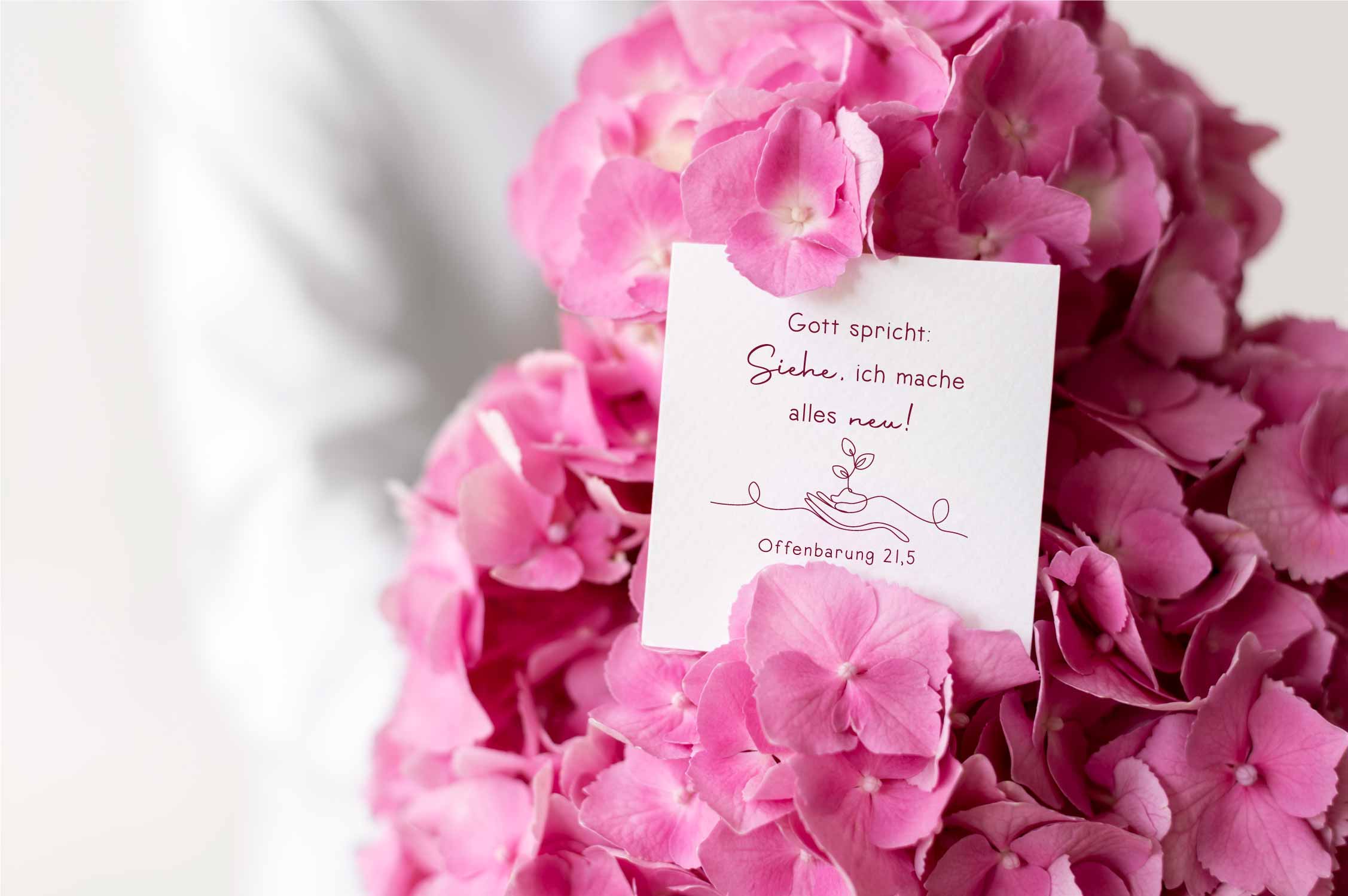 Stempel Jahreslosung 2026 "Gott spricht: Siehe, ich mache alles neu!" Pflanze